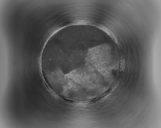 X0000093411086200711091355