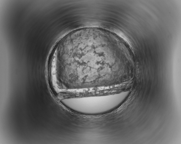 X0000093411088200711091355