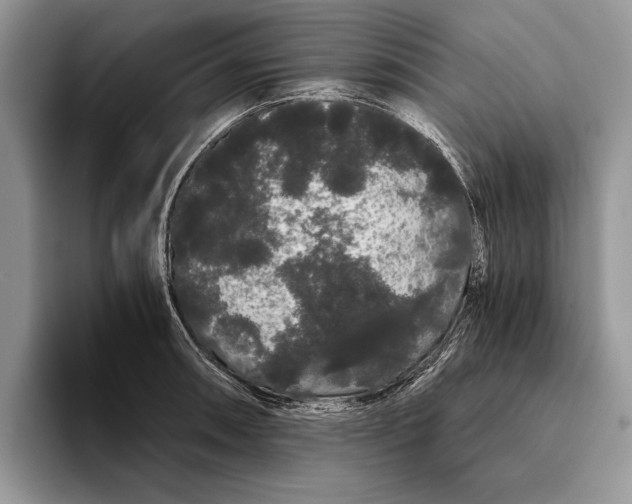 X0000093411090200711091355