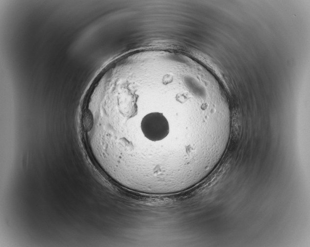 X0000093411091200711091355