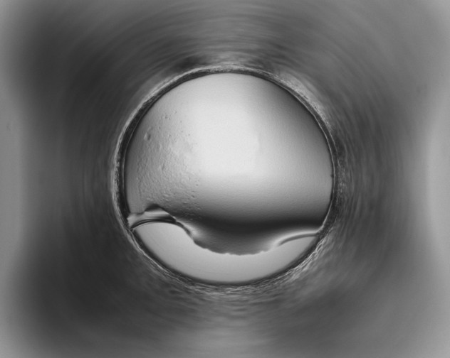 X0000093411093200711091355