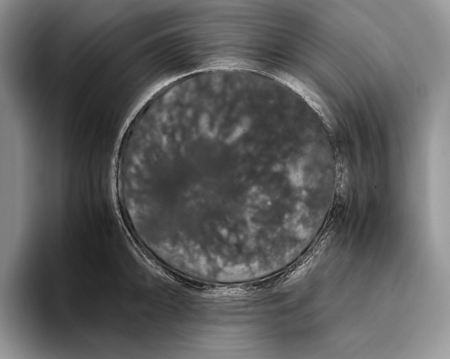 X0000093411094200711091355