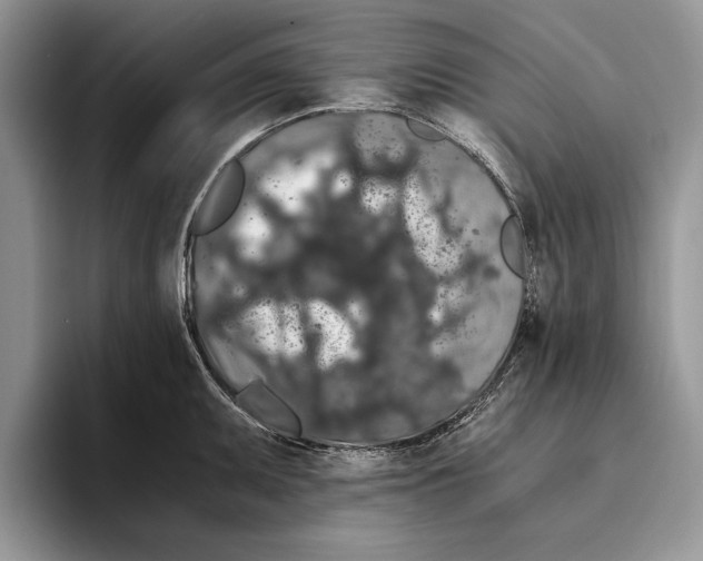 X0000093411095200711091355