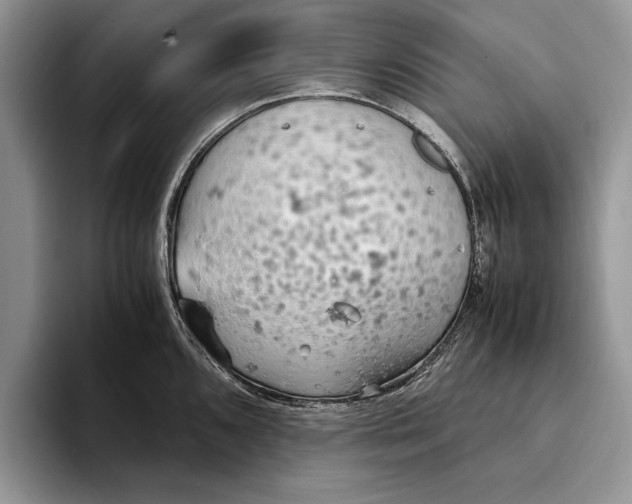 X0000093411096200711091355