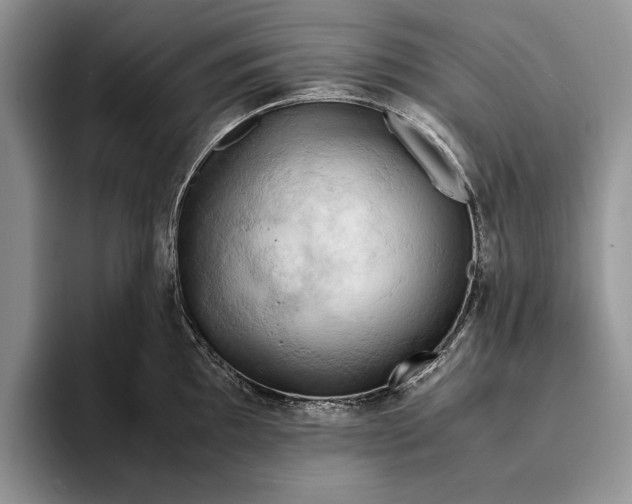 X0000093411097200711091355