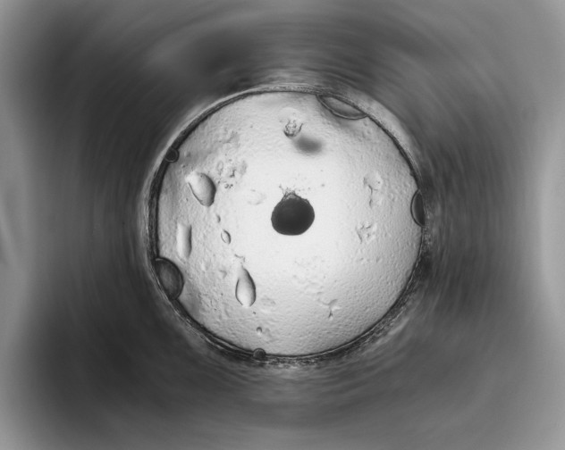 X0000093411099200711091355