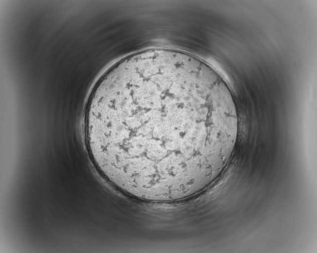 X0000093411100200711091355