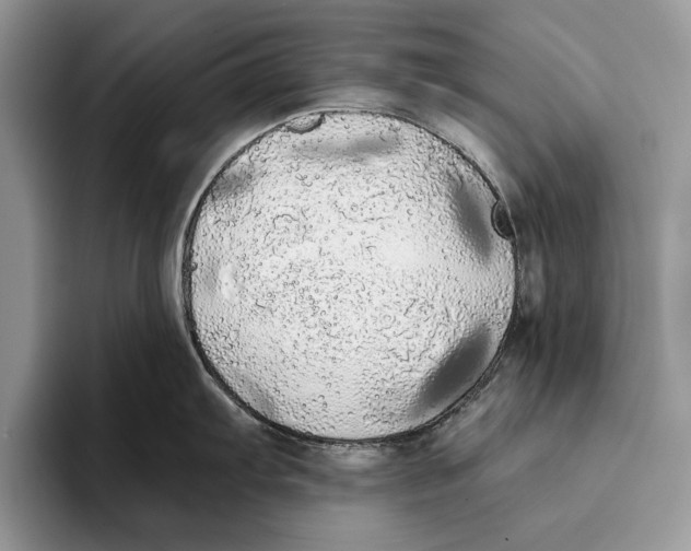 X0000093411103200711091354