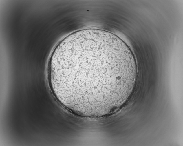 X0000093411104200711091354