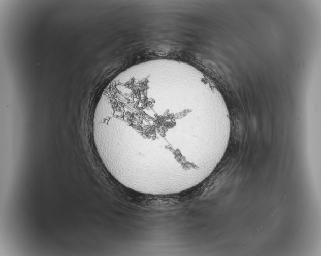 X0000093411105200711091354