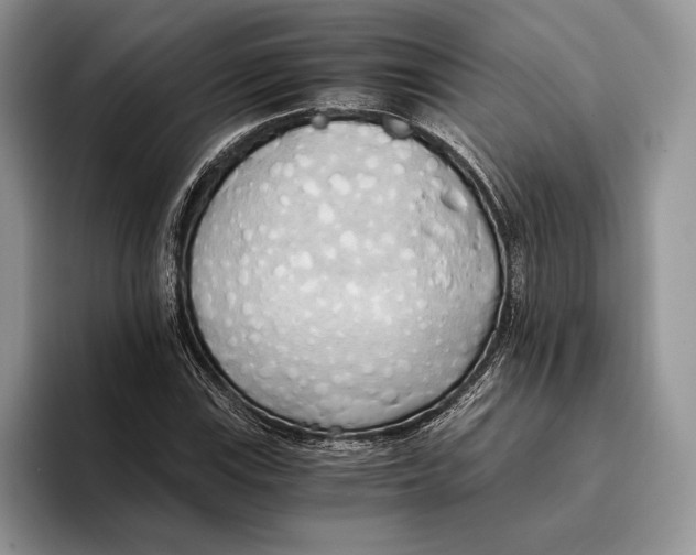 X0000093411115200711091354