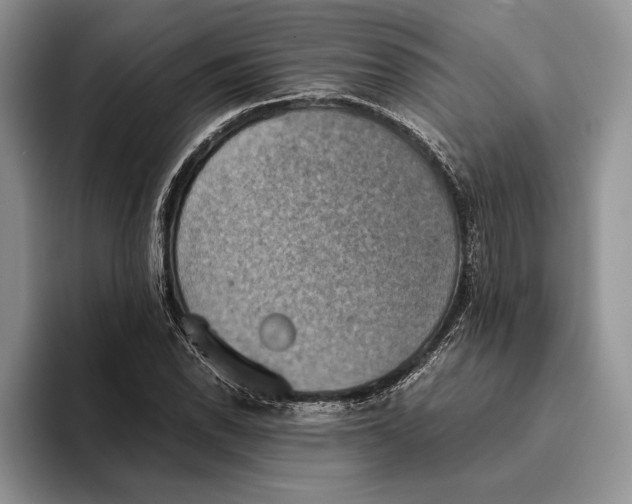 X0000093411118200711091354