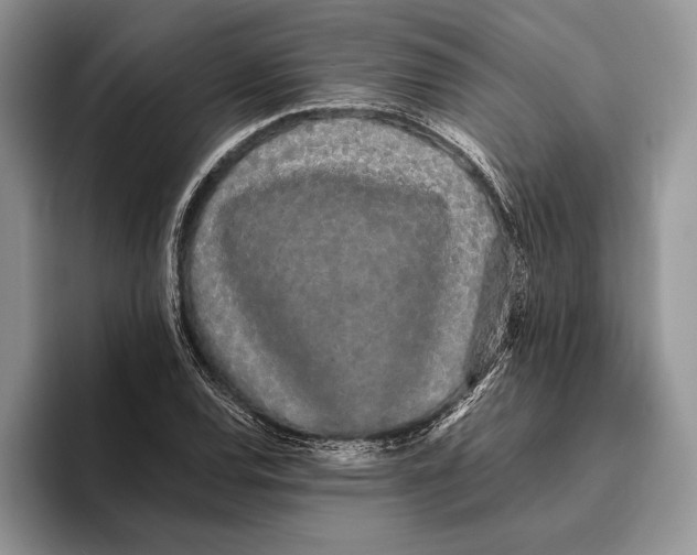 X0000093411120200711091354