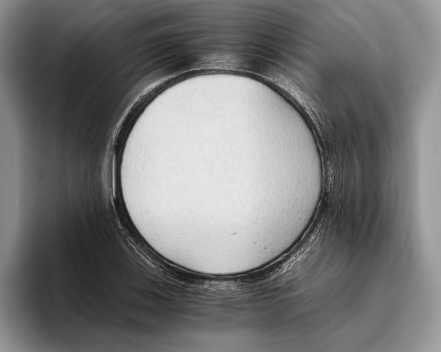 X0000093411123200711091354