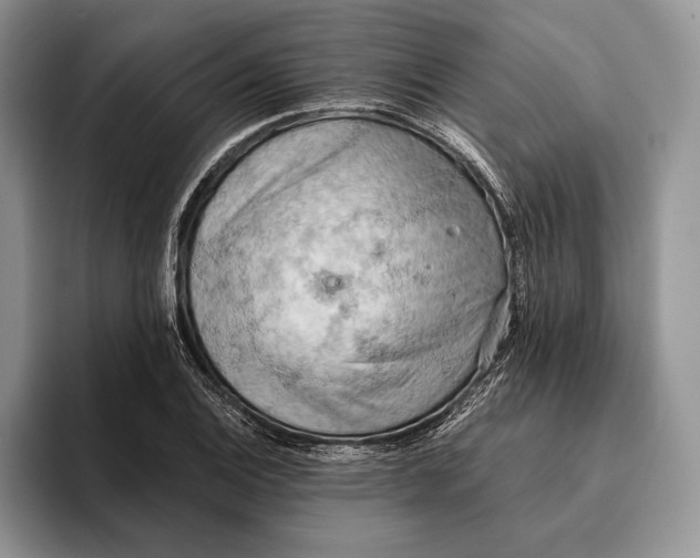 X0000093411124200711091354