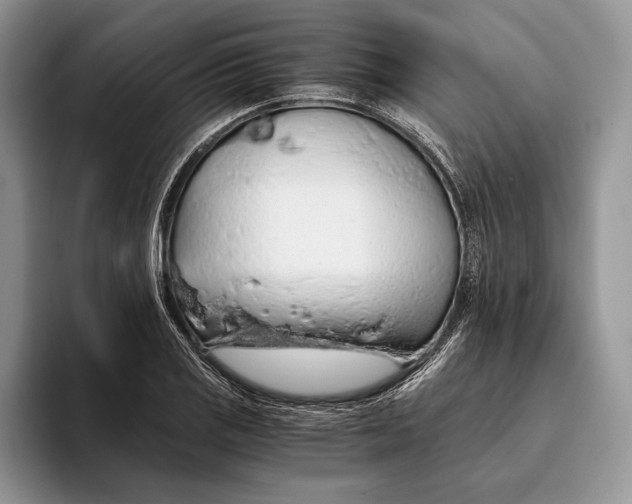 X0000093411125200711091354