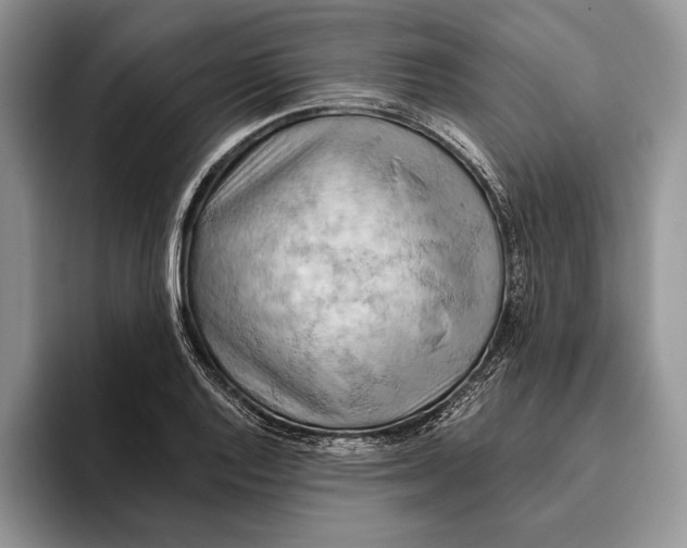 X0000093411128200711091354