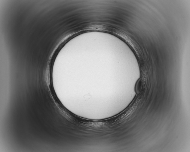 X0000093411131200711091354