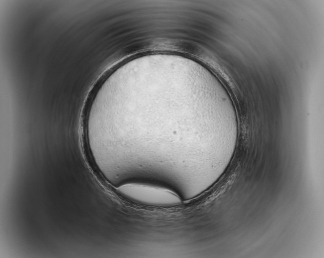 X0000093411133200711091354