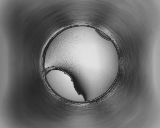 X0000093411140200711091354