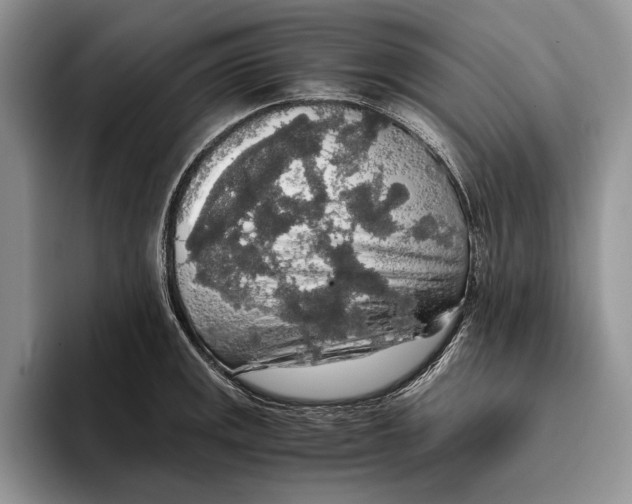 X0000093411141200711091354