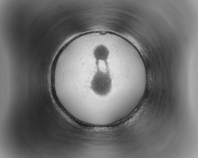 X0000093411142200711091354