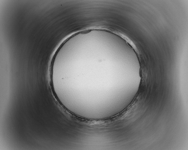 X0000093411148200711091354