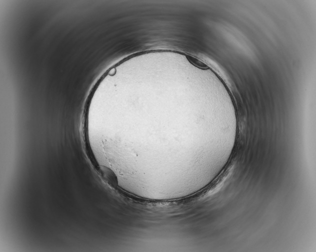 X0000093411149200711091354