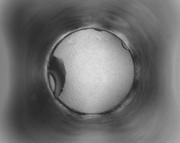 X0000093411151200711091354