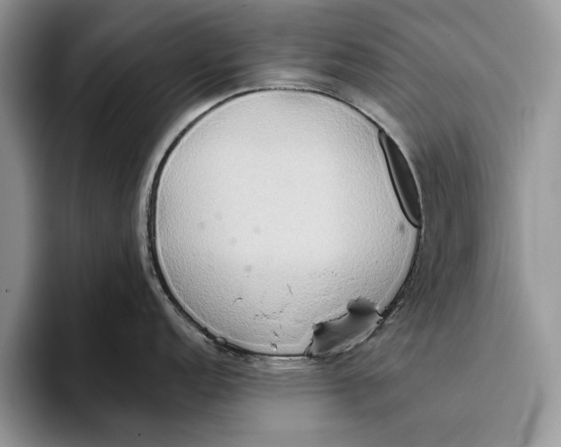 X0000093411152200711091354