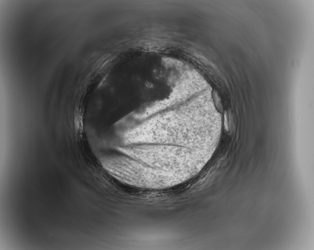 X0000093411155200711091354