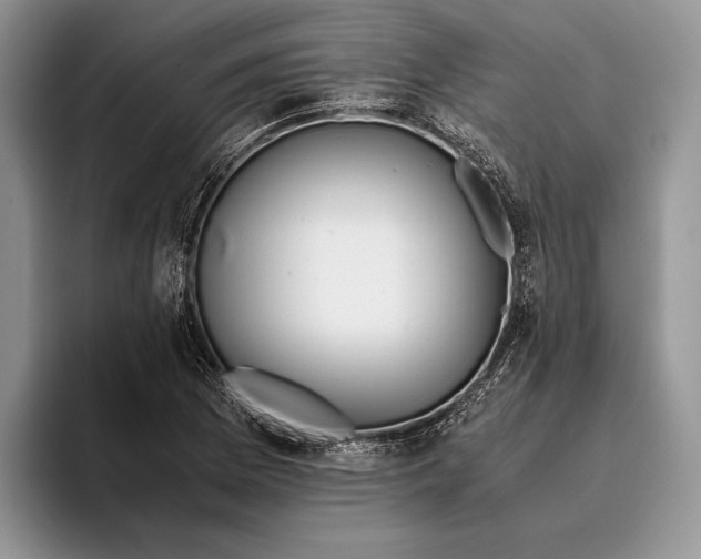 X0000093411169200711091354