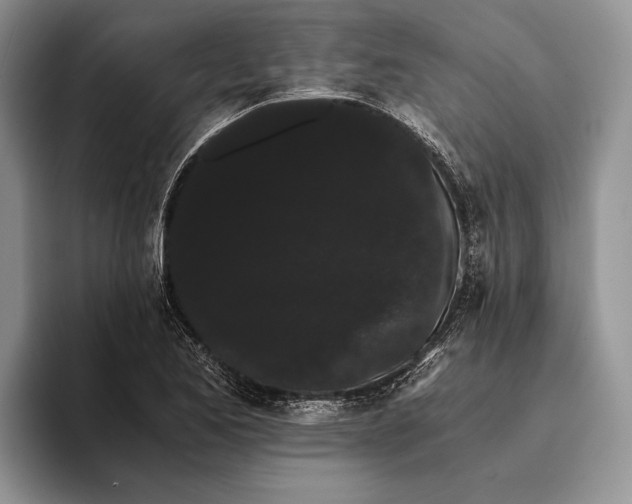 X0000093411173200711091354