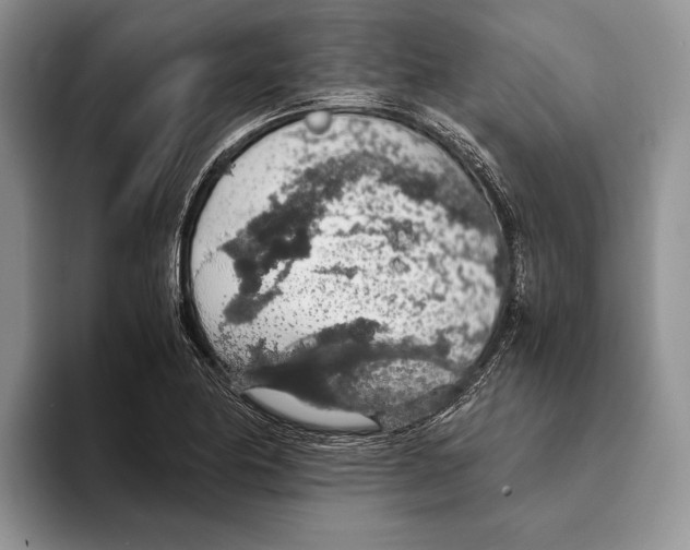 X0000093411174200711091354