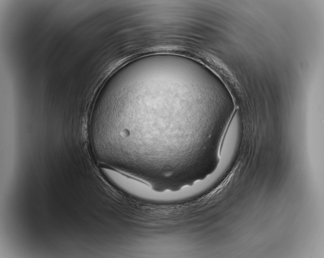 X0000093411177200711091354