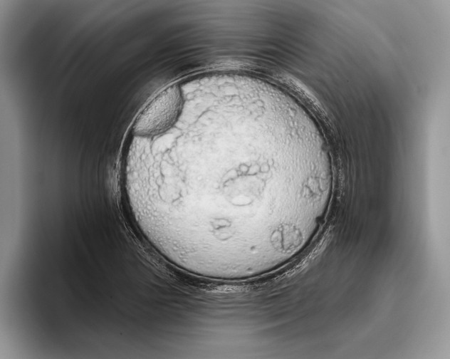 X0000093411178200711091354