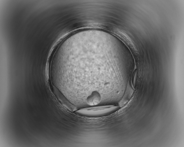 X0000093411180200711091354