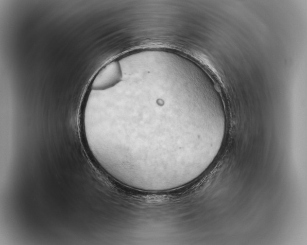 X0000093411181200711091354