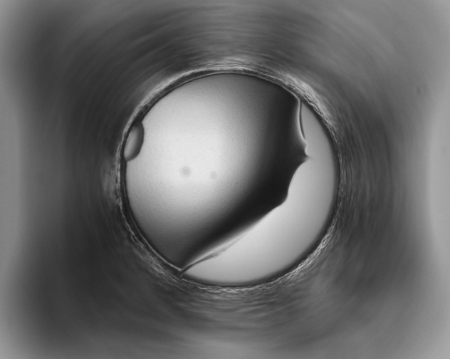 X0000093411184200711091354