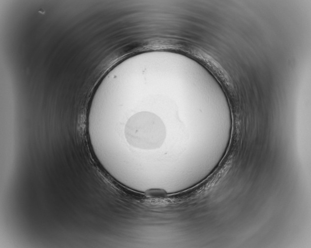 X0000093411185200711091354