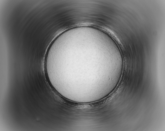 X0000093411186200711091354