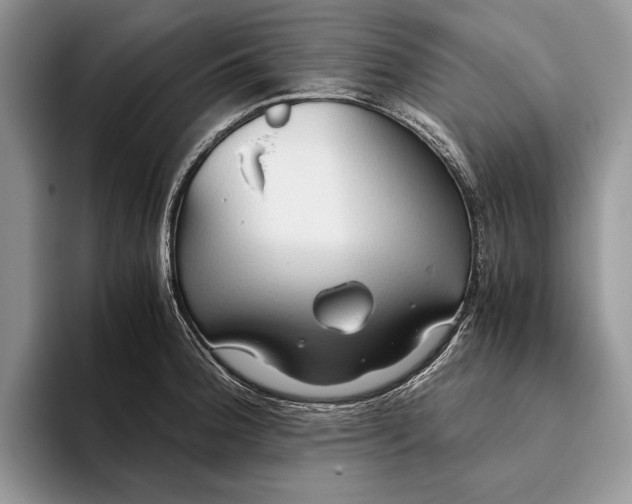 X0000093411188200711091353