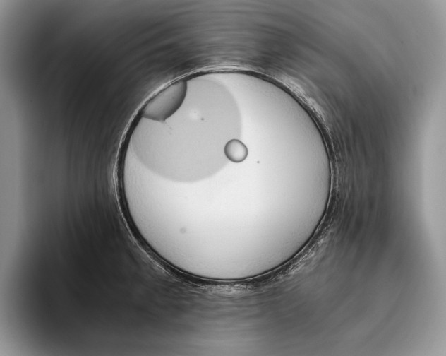 X0000093411189200711091353