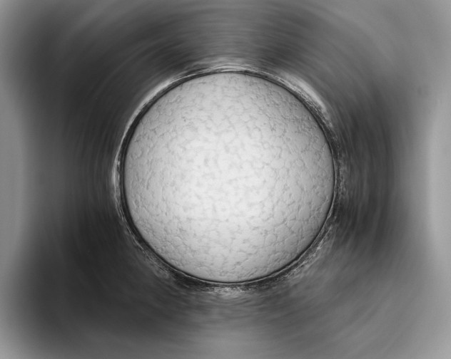 X0000093411190200711091353