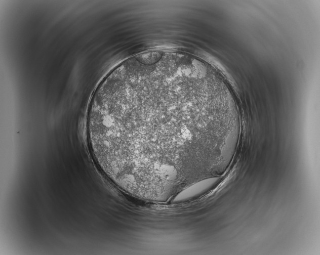 X0000093411194200711091353