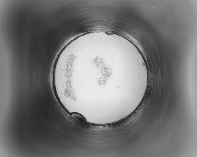 X0000093411195200711091353