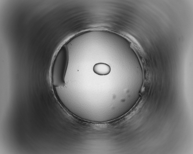 X0000093411196200711091353