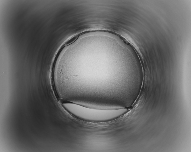 X0000093411197200711091353