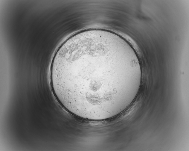 X0000093411199200711091353