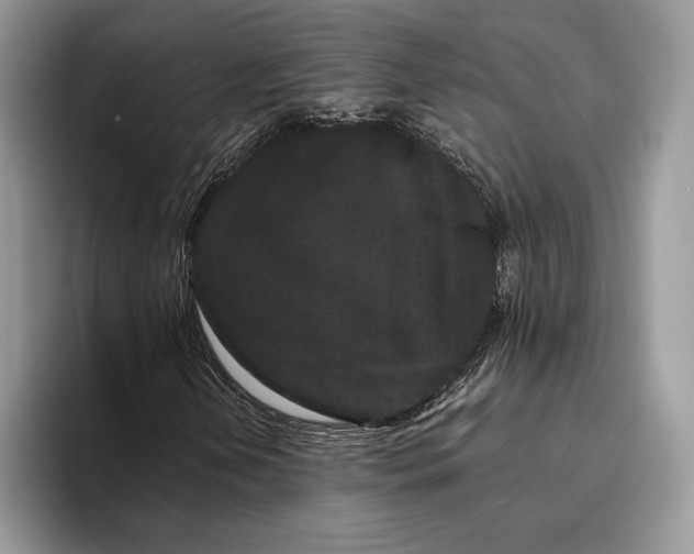 X0000093411202200711091353